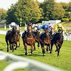goodwood bet